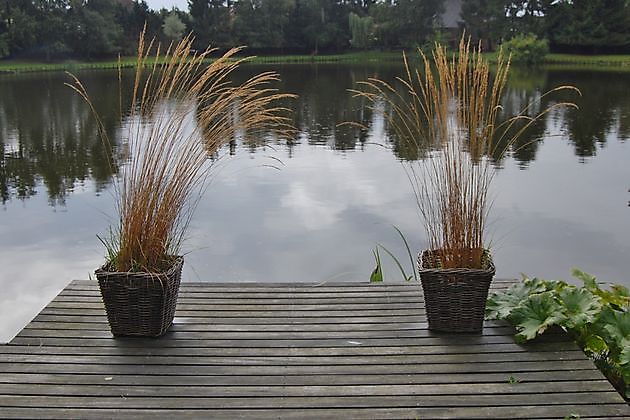 Wassergarten Ostrhauderfehn