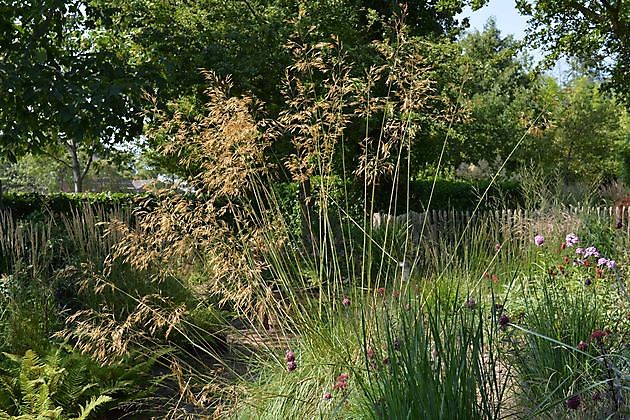  - Het Tuinpad Op / In Nachbars Garten