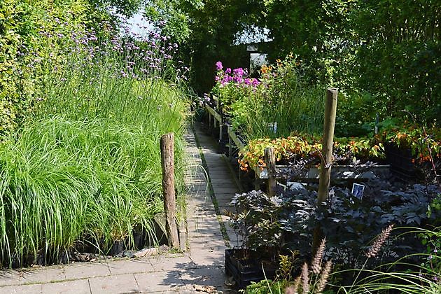 Kwekerij en Kijktuin Aan de Dijk Oudeschip