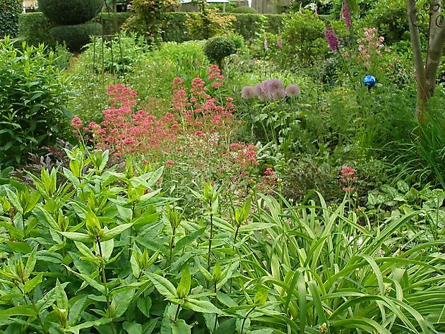 Arns Gartenidylle Papenburg