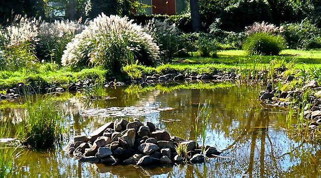  - Het Tuinpad Op / In Nachbars Garten