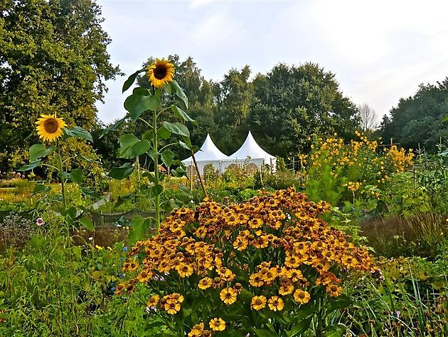 Bürgergarten Pagels/Ernst Pagels Garten Leer