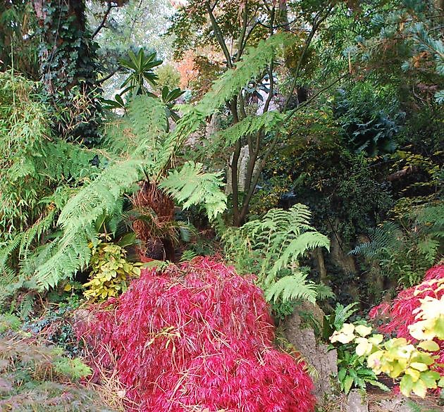 Garten der Stille Oldenburg