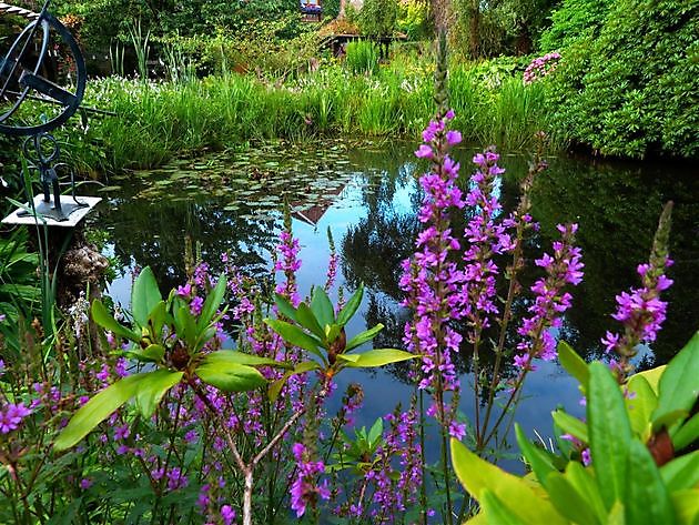 Naturgarten Naschke Papenburg