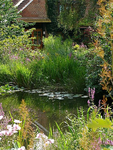  - Het Tuinpad Op / In Nachbars Garten