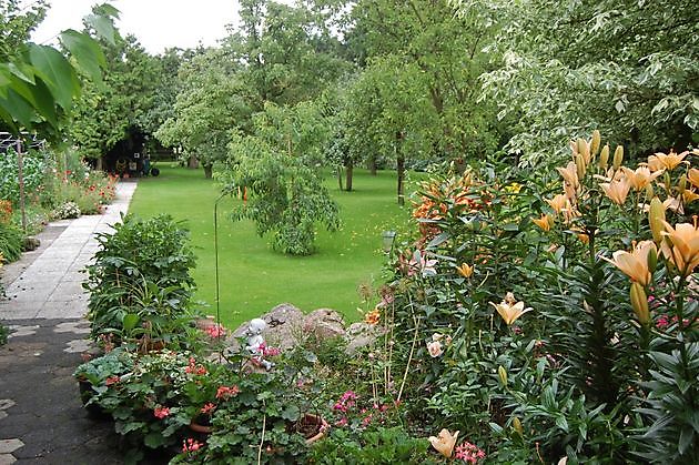 The Stonefarm Stadskanaal - Het Tuinpad Op / In Nachbars Garten