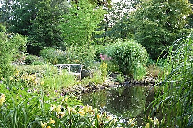 Kwekerij Mühring Westoverledingen- Völlenerfehn