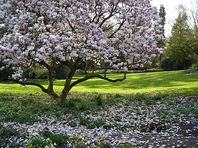  - Het Tuinpad Op / In Nachbars Garten