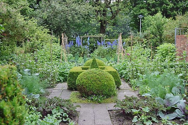 Garten Els de Boer Warffum - Het Tuinpad Op / In Nachbars Garten