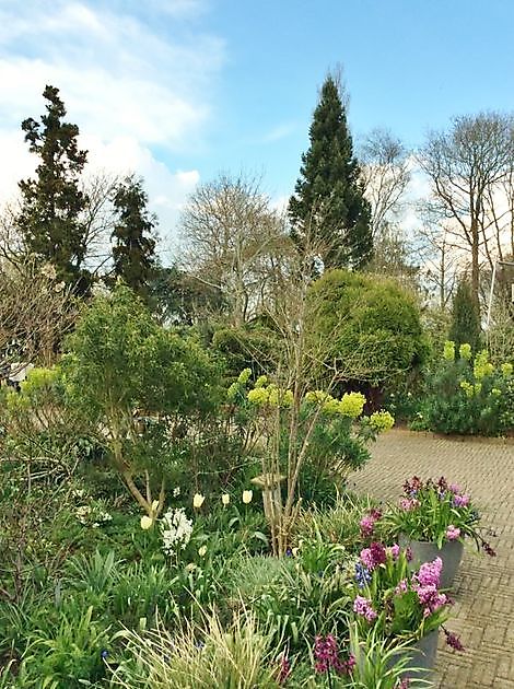 Garten Lourens Stadskanaal - Het Tuinpad Op / In Nachbars Garten