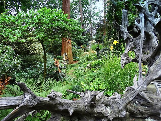 Johannes Wiemker Lingen - Het Tuinpad Op / In Nachbars Garten