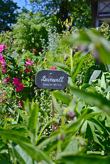  - Het Tuinpad Op / In Nachbars Garten