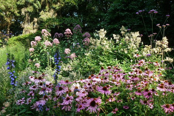  - Het Tuinpad Op / In Nachbars Garten