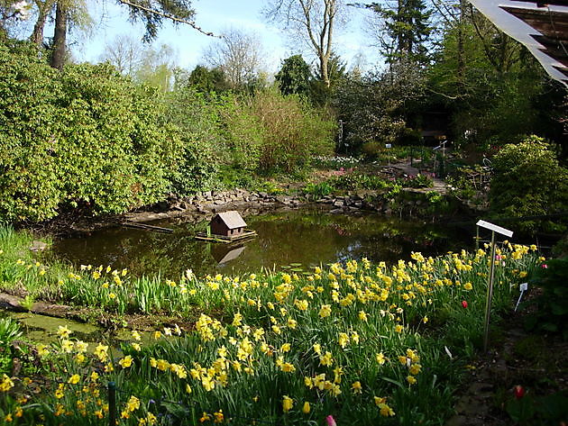  - Het Tuinpad Op / In Nachbars Garten