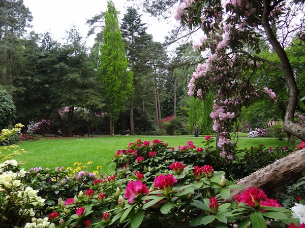 Farbenrausch im Blütenmeer -  Hobbie Rhododendronpark Westerstede-Petersfeld