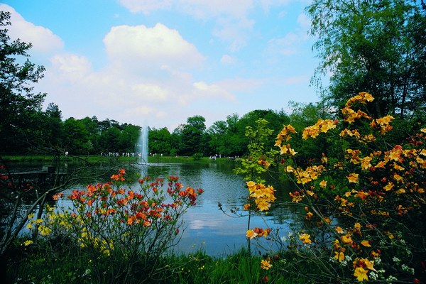 Farbenrausch im Blütenmeer -  Hobbie Rhododendronpark Westerstede-Petersfeld