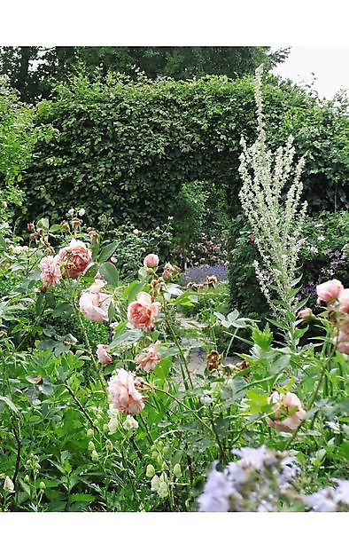  - Het Tuinpad Op / In Nachbars Garten