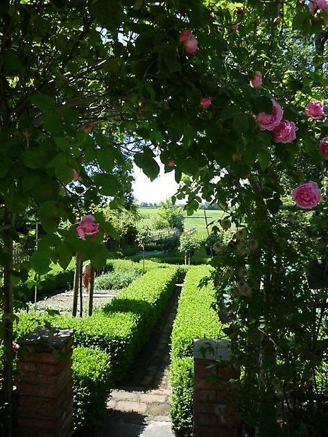 Bauerngarten Saathoff Krummhörn-Middelsterwehr