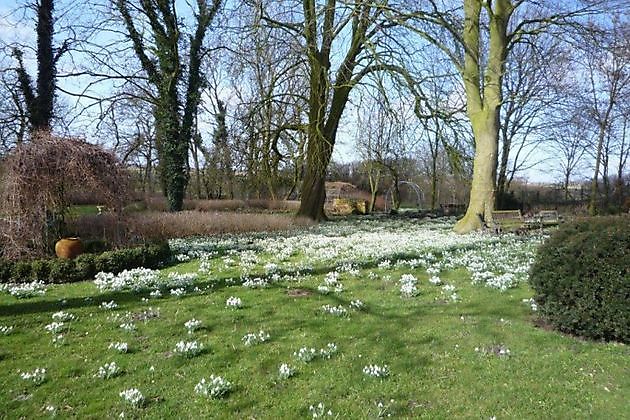  - Het Tuinpad Op / In Nachbars Garten