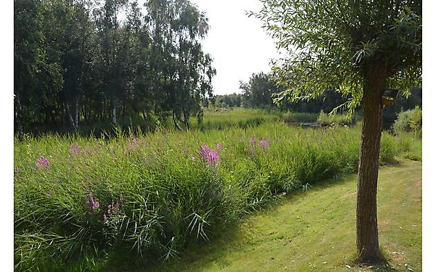 Tuin van Helen Buwalda Groningen