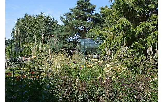 Der Garten von Helen Buwalda Groningen