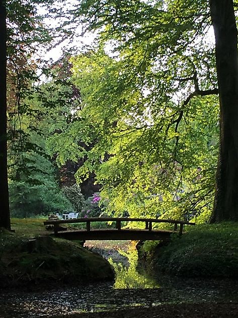 Landschaftspark von Witzleben Hude