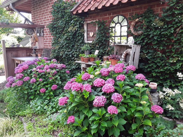  - Het Tuinpad Op / In Nachbars Garten