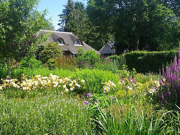 Groene Vingers - Der grüne Daumen Holsloot - Het Tuinpad Op / In Nachbars Garten