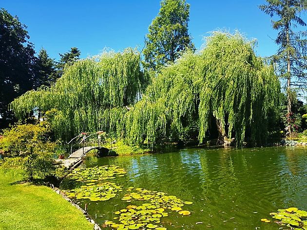 Der Garten von Johannes & Anne Rolfes Groß Berßen