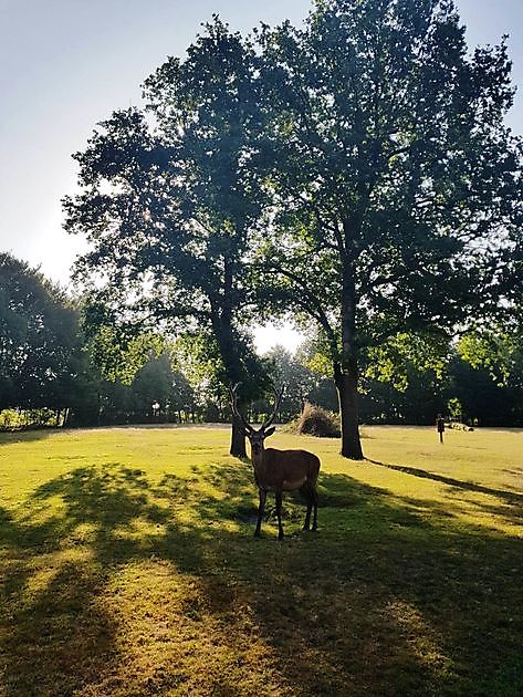  - Het Tuinpad Op / In Nachbars Garten