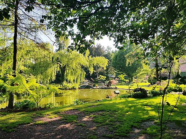 Der Garten von Johannes & Anne Rolfes Groß Berßen