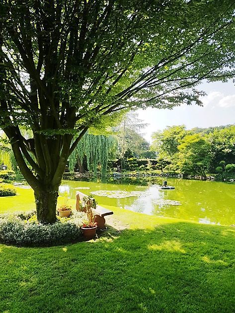 Der Garten von Johannes & Anne Rolfes Groß Berßen