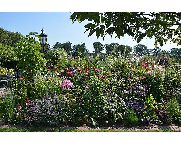  - Het Tuinpad Op / In Nachbars Garten