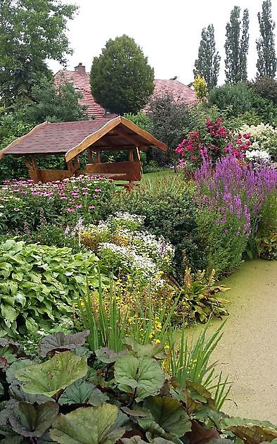  - Het Tuinpad Op / In Nachbars Garten