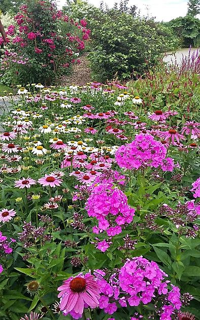  - Het Tuinpad Op / In Nachbars Garten