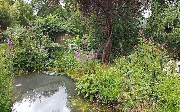 Der Garten von Anneke van Apeldoorn Havelte