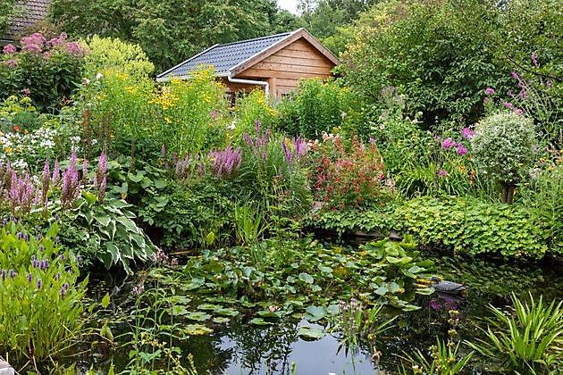 Jetske’s Tuin De Krim