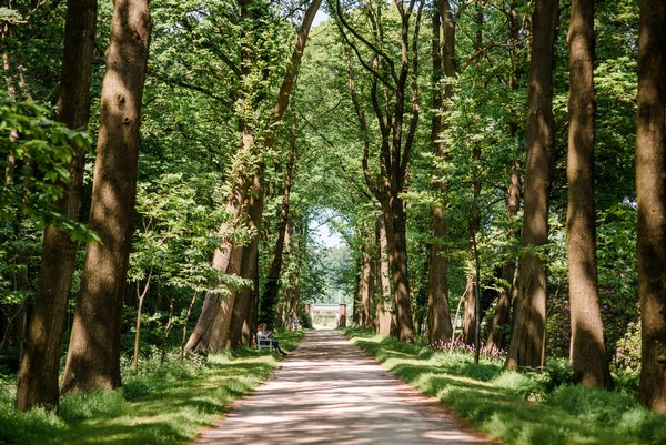 Lütetsburger Schlosspark Hage-Lütetsburg - Het Tuinpad Op / In Nachbars Garten