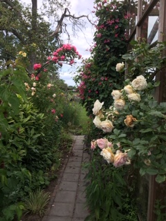  - Het Tuinpad Op / In Nachbars Garten