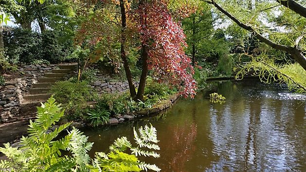 Arboretum Westeresch Vlagtwedde