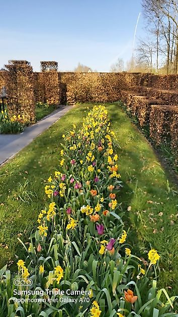  - Het Tuinpad Op / In Nachbars Garten