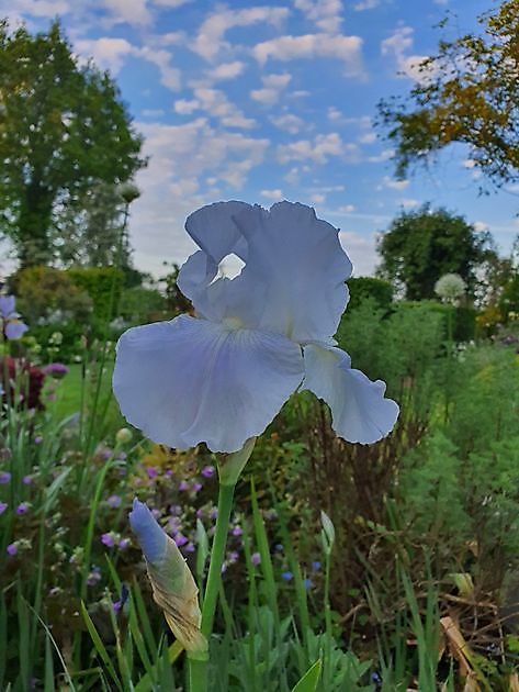 Tuin Nauta de Blaauw Slochteren