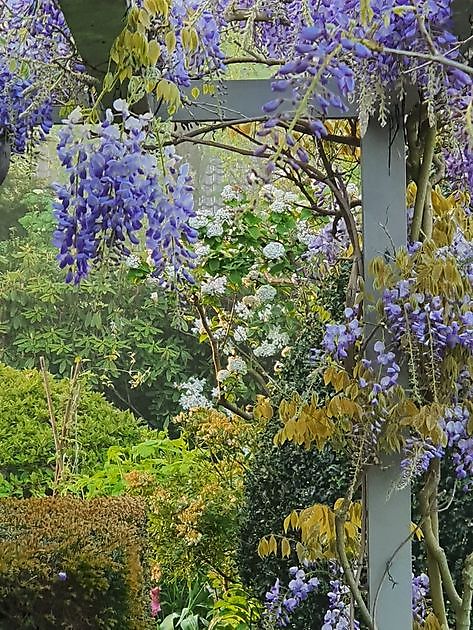 Tuin Nauta de Blaauw Slochteren