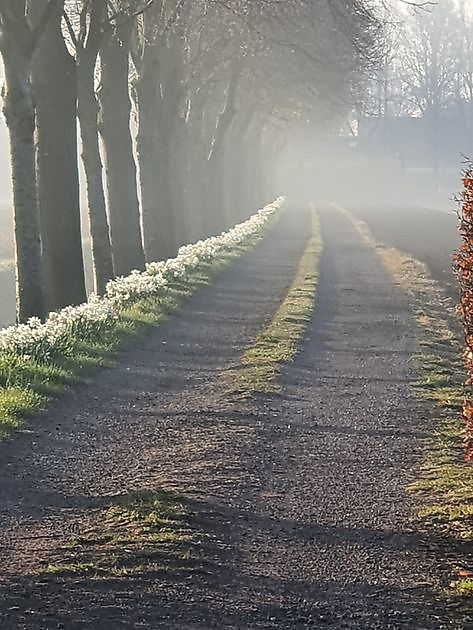 Garten Nauta de Blaauw Slochteren