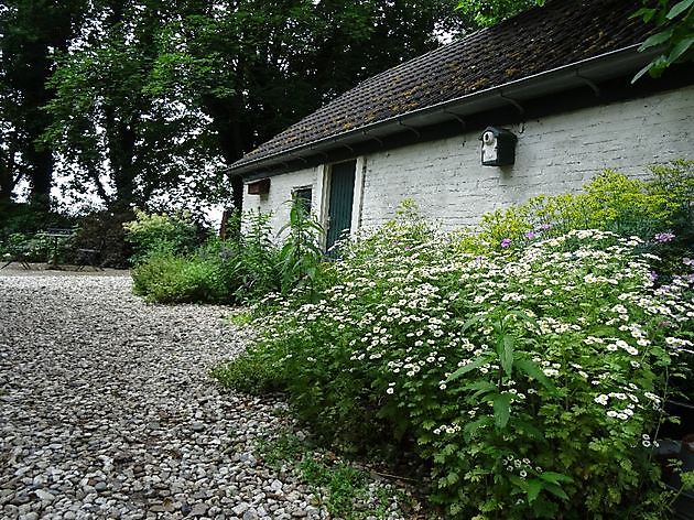 Jan Wilde een Tuin Westerlee