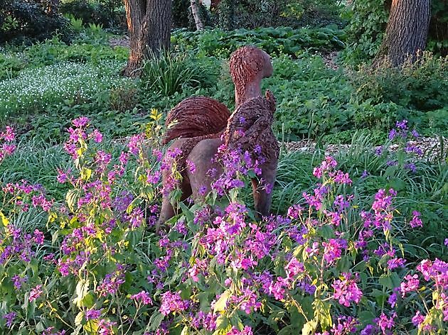 Jan Wilde een Tuin Westerlee