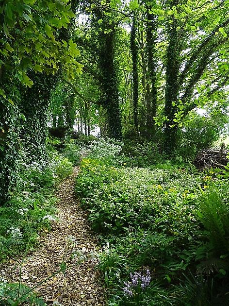 Jan Wilde een Tuin Westerlee