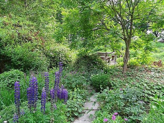  - Het Tuinpad Op / In Nachbars Garten