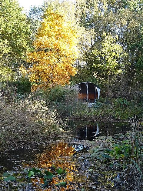  - Het Tuinpad Op / In Nachbars Garten