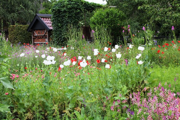  - Het Tuinpad Op / In Nachbars Garten